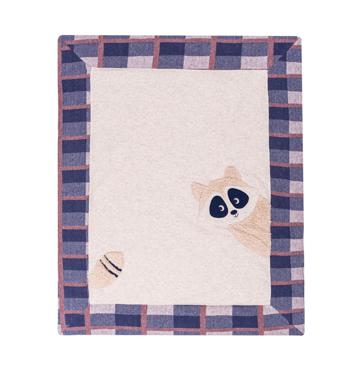 EMC Baby Boys Raccoon Velour Blanket 1206