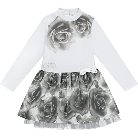 A Dee Tabby Roses Dress